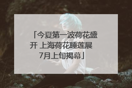 今夏第一波荷花盛开 上海荷花睡莲展7月上旬揭幕