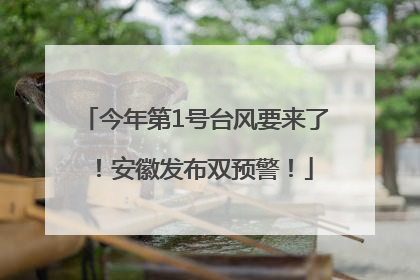 今年第1号台风要来了！安徽发布双预警！