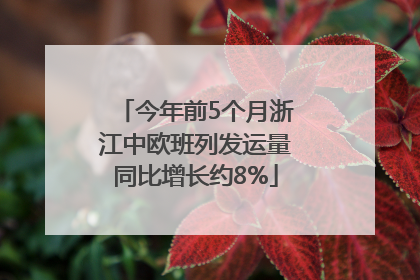 今年前5个月浙江中欧班列发运量同比增长约8%