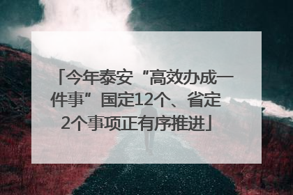 今年泰安“高效办成一件事”国定12个、省定2个事项正有序推进