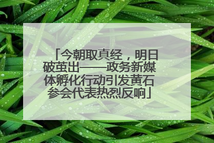 今朝取真经，明日破茧出——政务新媒体孵化行动引发黄石参会代表热烈反响