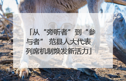从“旁听者”到“参与者” 范县人大代表列席机制焕发新活力
