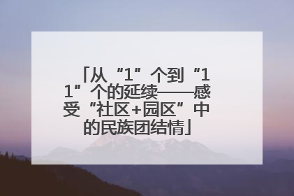 从“1”个到“11”个的延续——感受“社区+园区”中的民族团结情