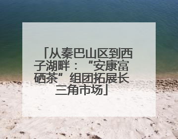 从秦巴山区到西子湖畔：“安康富硒茶”组团拓展长三角市场