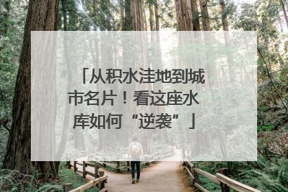 从积水洼地到城市名片！看这座水库如何“逆袭”