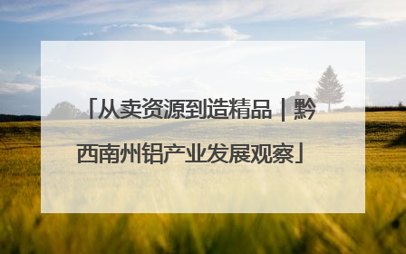 从卖资源到造精品｜黔西南州铝产业发展观察