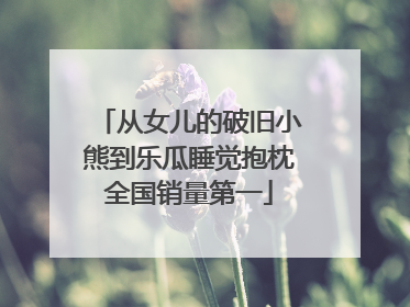 从女儿的破旧小熊到乐瓜睡觉抱枕全国销量第一