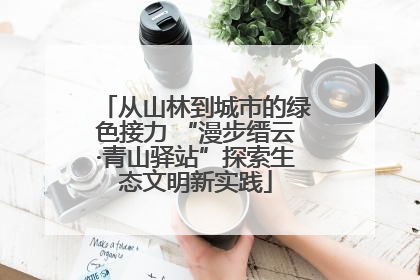 从山林到城市的绿色接力 “漫步缙云·青山驿站”探索生态文明新实践
