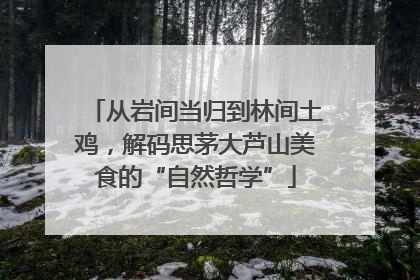 从岩间当归到林间土鸡，解码思茅大芦山美食的“自然哲学”