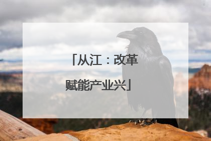 从江：改革赋能产业兴