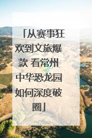 从赛事狂欢到文旅爆款 看常州中华恐龙园如何深度破圈