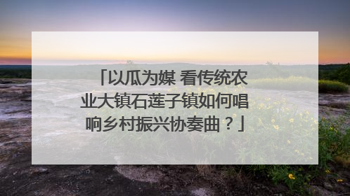 以瓜为媒 看传统农业大镇石莲子镇如何唱响乡村振兴协奏曲？