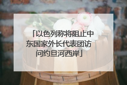 以色列称将阻止中东国家外长代表团访问约旦河西岸
