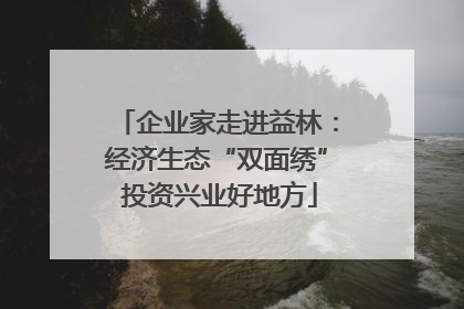 企业家走进益林：经济生态“双面绣” 投资兴业好地方
