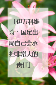 伊万科维奇：国足出局自己会承担非常大的责任