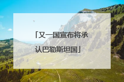 又一国宣布将承认巴勒斯坦国