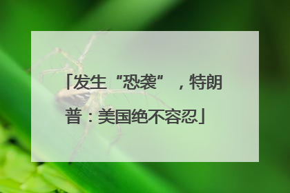发生“恐袭”，特朗普：美国绝不容忍