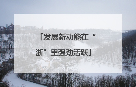 发展新动能在“浙”里强劲活跃