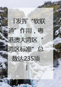 发挥“软联通”作用，粤港澳大湾区“湾区标准”总数达235项