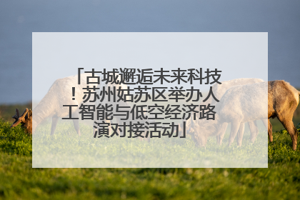古城邂逅未来科技！苏州姑苏区举办人工智能与低空经济路演对接活动