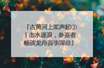 古黄河上桨声起②丨击水逐浪，参赛者畅谈龙舟赛事深意