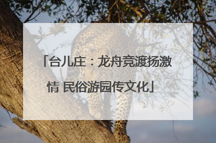 台儿庄：龙舟竞渡扬激情 民俗游园传文化