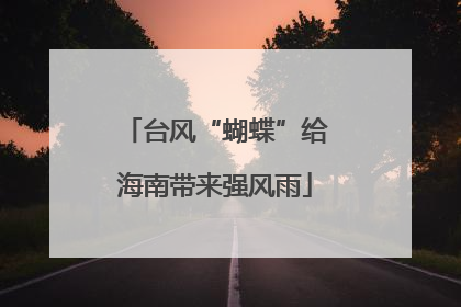 台风“蝴蝶”给海南带来强风雨