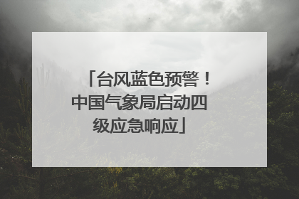 台风蓝色预警！中国气象局启动四级应急响应