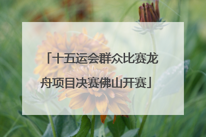 十五运会群众比赛龙舟项目决赛佛山开赛