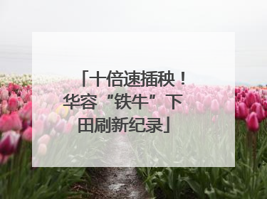 十倍速插秧！华容“铁牛”下田刷新纪录