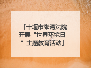 十堰市张湾法院开展“世界环境日”主题教育活动