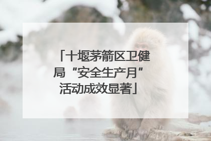 十堰茅箭区卫健局“安全生产月”活动成效显著