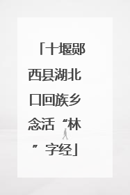 十堰郧西县湖北口回族乡念活“林”字经