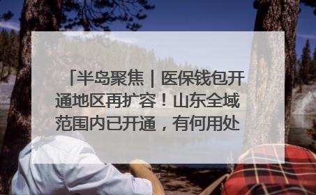 半岛聚焦｜医保钱包开通地区再扩容！山东全域范围内已开通，有何用处？如何操作？速戳→