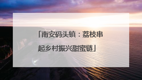 南安码头镇：荔枝串起乡村振兴甜蜜链