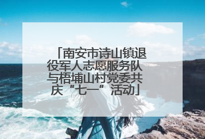 南安市诗山镇退役军人志愿服务队与梧埔山村党委共庆“七一”活动
