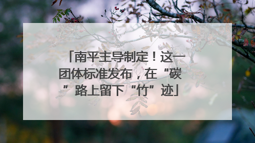 南平主导制定！这一团体标准发布，在“碳”路上留下“竹”迹