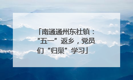 南通通州东社镇：“五一”返乡，党员们“归巢”学习