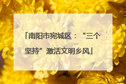 南阳市宛城区：“三个坚持”激活文明乡风