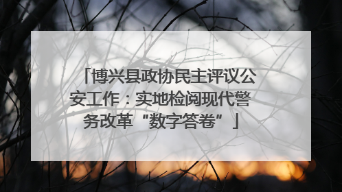 博兴县政协民主评议公安工作：实地检阅现代警务改革“数字答卷”