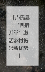 卢氏县：“四措并举”激活乡村振兴新优势