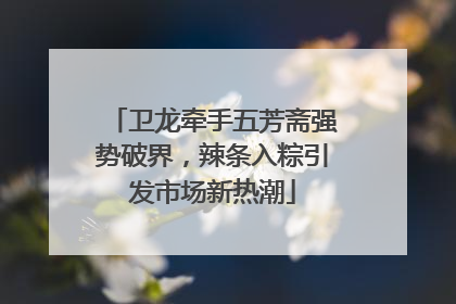 卫龙牵手五芳斋强势破界，辣条入粽引发市场新热潮