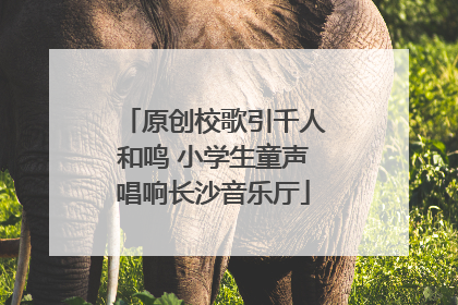 原创校歌引千人和鸣 小学生童声唱响长沙音乐厅