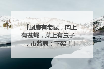 厨房有老鼠，肉上有苍蝇，菜上有虫子，市监局：下架！