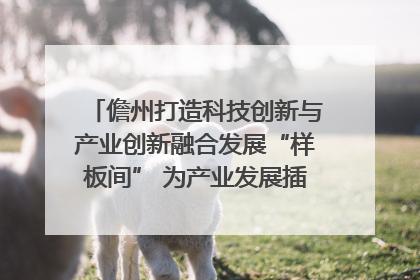 儋州打造科技创新与产业创新融合发展“样板间” 为产业发展插上科技“翅膀”