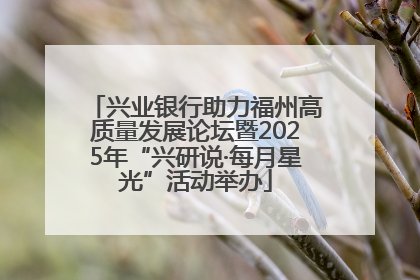 兴业银行助力福州高质量发展论坛暨2025年“兴研说·每月星光”活动举办
