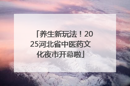 养生新玩法！2025河北省中医药文化夜市开幕啦