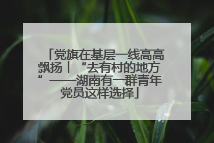 党旗在基层一线高高飘扬丨“去有村的地方”——湖南有一群青年党员这样选择