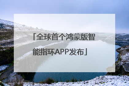 全球首个鸿蒙版智能指环APP发布