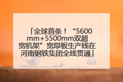 全球首条！“5600mm+5500mm双超宽机架”宽厚板生产线在河南钢铁集团全线贯通